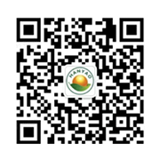 邯藥招聘微信公衆号